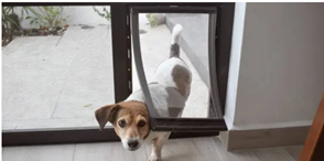 pet doors Adelaide