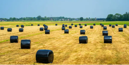 bale wrap